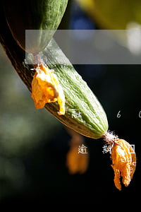 融360貸款逾期1天會怎么樣(360借款逾期幾個(gè)小時(shí))