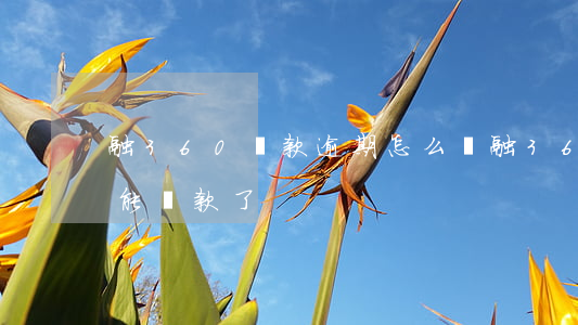 融360貸款逾期怎么辦(融360是不是不能貸款了)