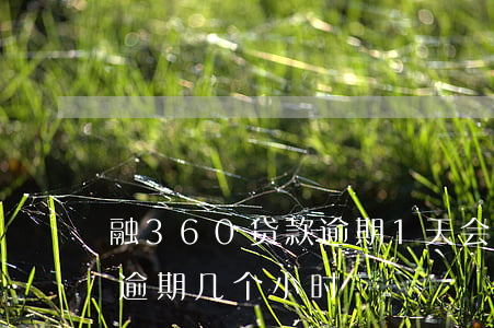 融360贷款逾期1天会怎么样(360借款逾期几个小时)
