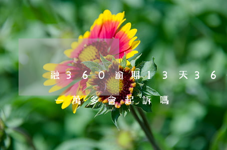 融360逾期13天(360逾期15天,逾金一萬多,會起訴嗎)