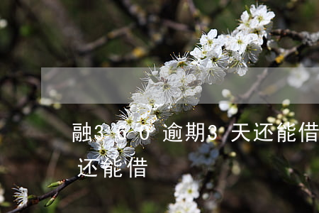 融360逾期3天还能借(融360逾期3天还能借)