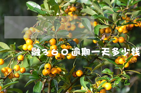 融360逾期一天多少钱