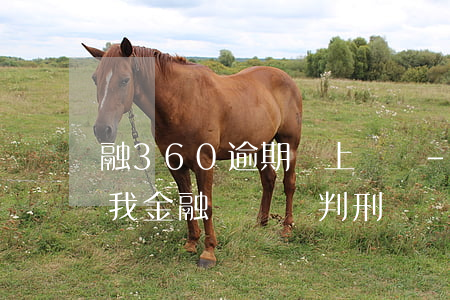 融360逾期會上門嗎-360逾期沒還說我金融詐騙會判刑嗎