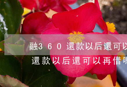 融360還款以后還可以再借嗎-融360還款以后還可以再借嗎安全嗎
