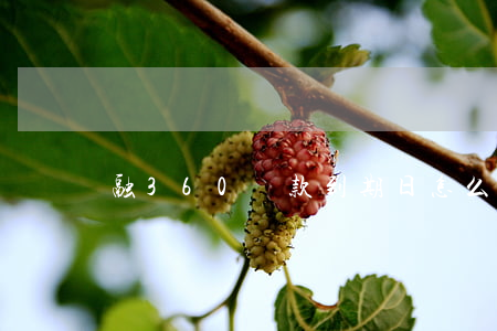 融360還款到期日怎么不扣款-