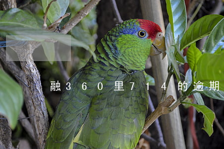 融360里714的逾期會怎樣