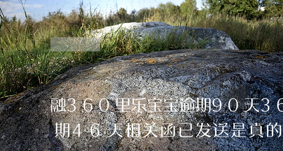 融360里乐宝宝逾期90天(360金融逾期46天相关函已发送是真的吗)