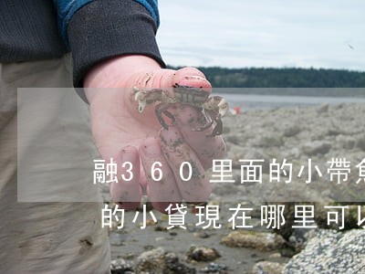 融360里面的小帶魚還款問題-融360的小貸現在哪里可以找到