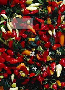 融360里面的愛分期怎么還款-融360分期易怎么樣