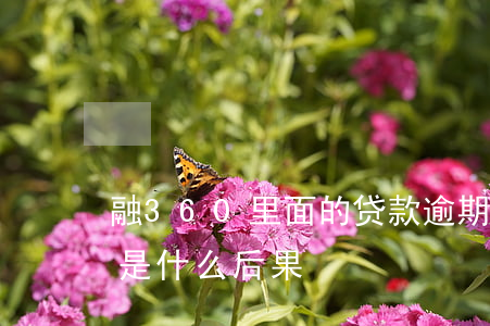 融360里面的贷款逾期(融360贷款不还是什么后果)