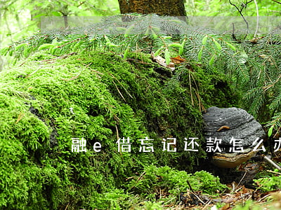 融e借忘记还款怎么办（融e借逾期怎么还款）