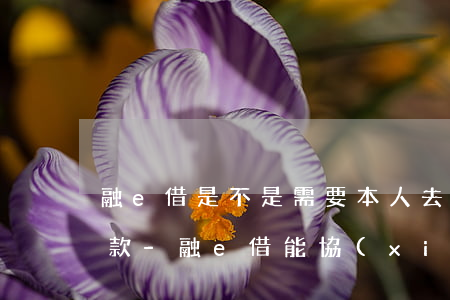 融e借是不是需要本人去協(xié)商還款-融e借能協(xié)商還款嗎