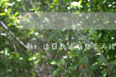 融e借貸款逾期能否再借