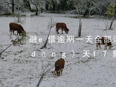 融e借逾期一天全部還款(融e借逾期指當(dāng)天17點(diǎn)之后,還是第二天)