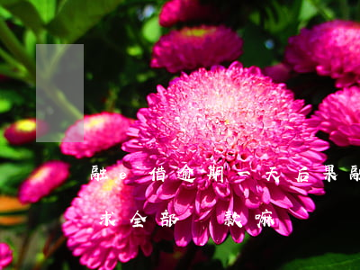 融e借逾期一天后果(融e借逾期兩天會被要求全部還款嘛)