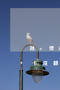 融e借逾期后信用卡還可以用嗎(融e借信用卡沒額度了還能借嗎?)