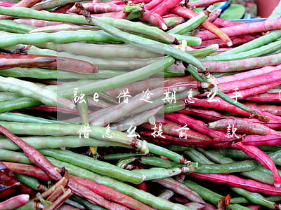 融e借逾期怎么手動(dòng)還款(融e借怎么提前還款)