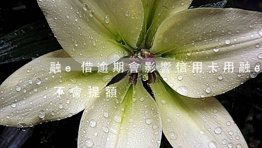 融e借逾期會影響信用卡(用融e借信用卡會不會提額)