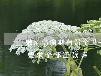 融e借逾期有罚金吗-融e借逾期两天会被要求全部还款嘛