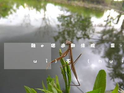 融e借逾期法院傳票-融e借還不上會(huì)不會(huì)起訴