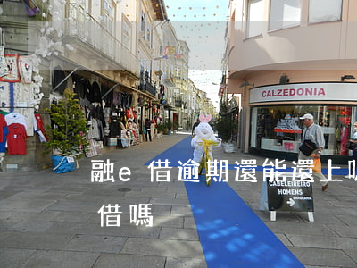 融e借逾期還能還上嗎(融e借還清了馬上能借嗎)