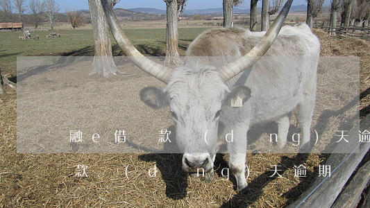 融e借還款當(dāng)天逾期(融e借還款當(dāng)天逾期)