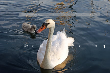 融e借還款當(dāng)日逾期