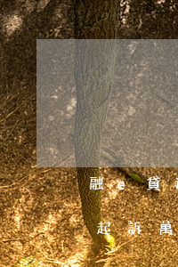 融e貸逾期會(huì)不會(huì)被起訴(萬(wàn)e貸逾期多久起訴)