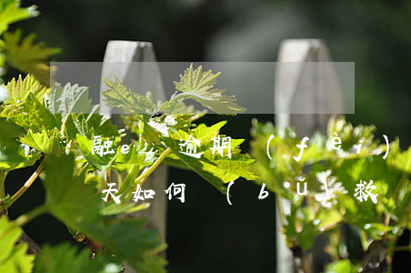 融e貸逾期費(fèi)用 融e借晚還款一天如何補(bǔ)救