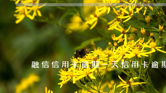 融信信用卡逾期一天 信用卡逾期幾天
