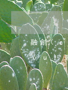 融創(chuàng)列入各金融機構(gòu)逾期名單(融創(chuàng)欠銀行貸款)