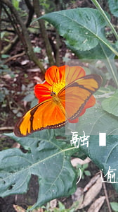 融創(chuàng)商票出現(xiàn)逾期 融創(chuàng)商票出現(xiàn)逾期怎么處理