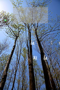 融創(chuàng)大規(guī)模逾期(融創(chuàng)大規(guī)模逾期怎么辦)