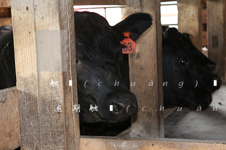 融創(chuàng)開發(fā)貸利息逾期(融創(chuàng)欠銀行貸款)