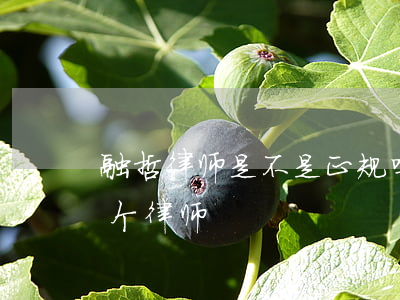 融哲律师是不是正规吗(融孚律师事务所有几个律师)