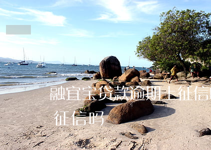融宜宝贷款逾期上征信吗(融宜宝贷款逾期上征信吗)