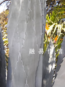 融易借信用卡逾期的(用融e借還了信用卡)