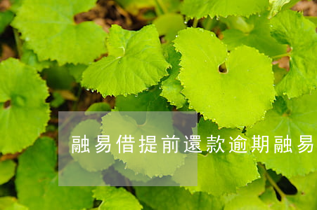融易借提前還款逾期(融易借提前還款逾期)