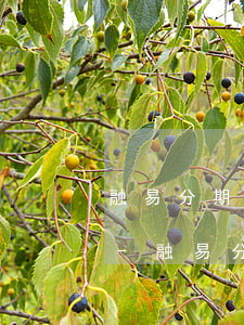 融易分期什么時(shí)候可以提前還款-融易分期什么時(shí)候可以提前還款