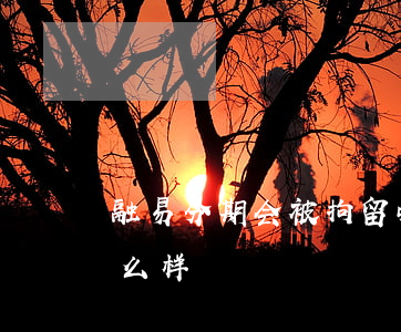 融易分期会被拘留吗(融易分期的钱不还会怎么样)