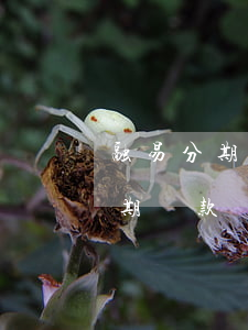 融易分期到了還款日是自動扣款嗎-融易分期還款時間