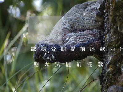 融易分期提前还款为什么一直失败-融易分期无法提前还款