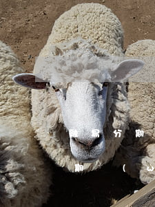融易分期提前還款為什么一直失敗-融易分期無(wú)法提前還款