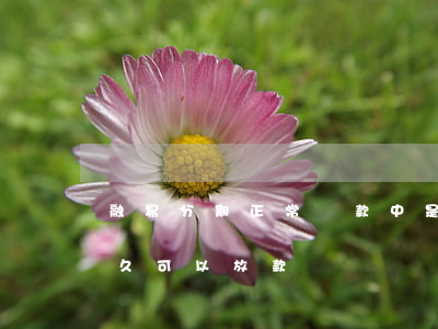 融易分期正常還款中是什么意思(融易分期多久可以放款)