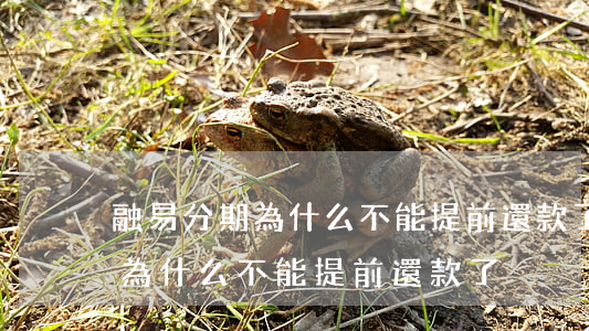 融易分期為什么不能提前還款了-融易分期為什么不能提前還款了