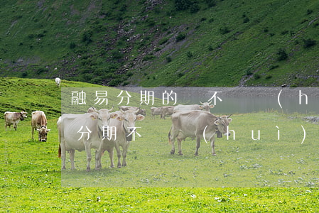 融易分期的錢不還會(huì)怎么樣(融易分期不還會(huì)有什么后果)