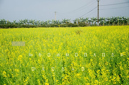 融易貸逾期兩個月會怎么樣-融易貸逾期兩個月會怎么樣