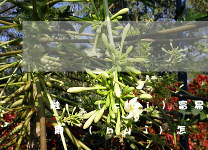 融澤財(cái)富易有錢(qián)逾期會(huì)怎樣(融澤財(cái)富里的貸款怎么樣)