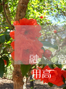 融澤財富逾期費用高嗎貼吧（融澤財富逾期費用高嗎）