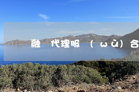 融資代理服務(wù)合同范文